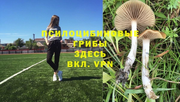 mdpv Вяземский
