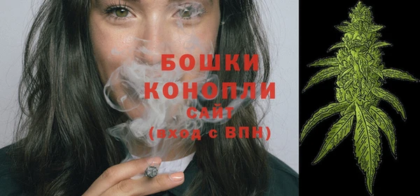 mdpv Вяземский