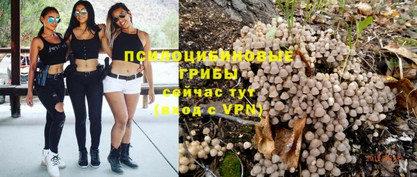 mdpv Вяземский